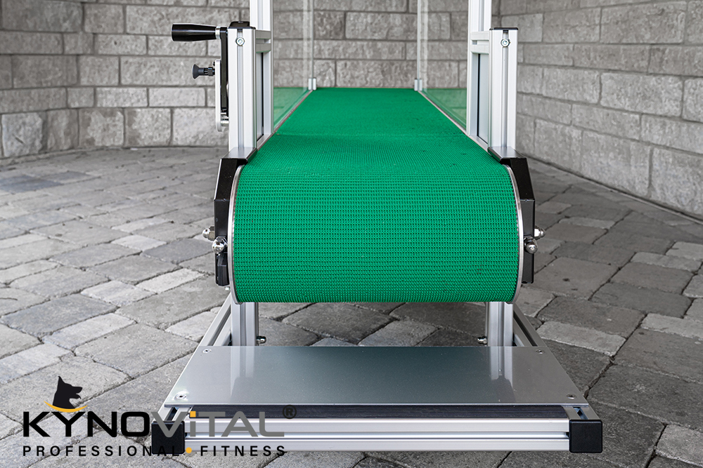 40000_kynovital_laufband_mit_fussbremse_3 Fussbremse