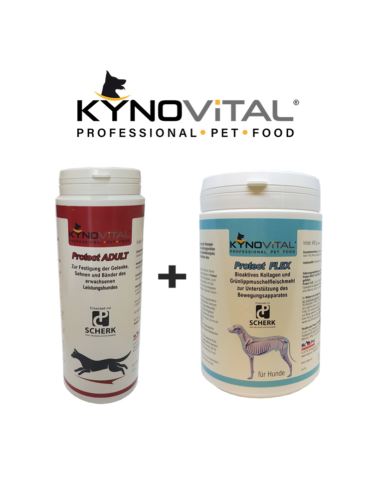 KynoVital Kombipaket Protect ADULT-FLEX