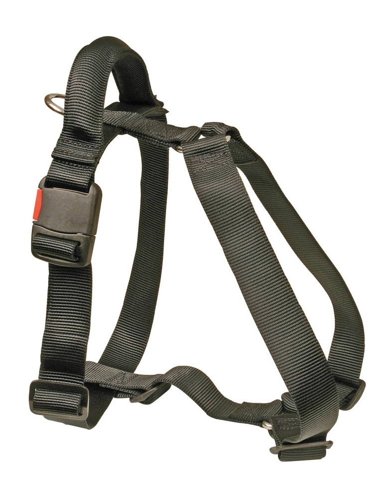 Hetzgeschirr "Comfort" mit Griff, T1/40mm schwarz Hetzgeschirr "Comfort" mit Griff, T1/40mm schwarz